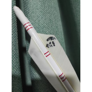 Tarihi Milli  Ok'lar (Mustafa Kemal Atatürk)