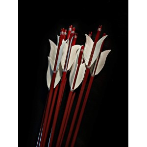 Barbaros Okları (Gomalak Cilalı 4 inç Tüy- 6 Adet)