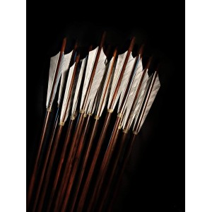 Lekeli Gomalak Cilalı 5 İnç Tüylü Özel Ok