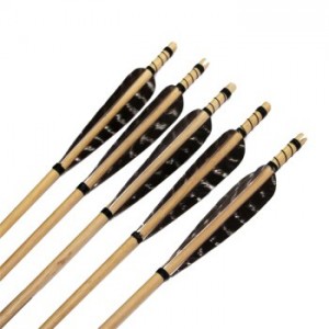 Çocuk  Başlangıç Yayı 25 Libre + 3 Adet Tüylü Ok Hediyeli